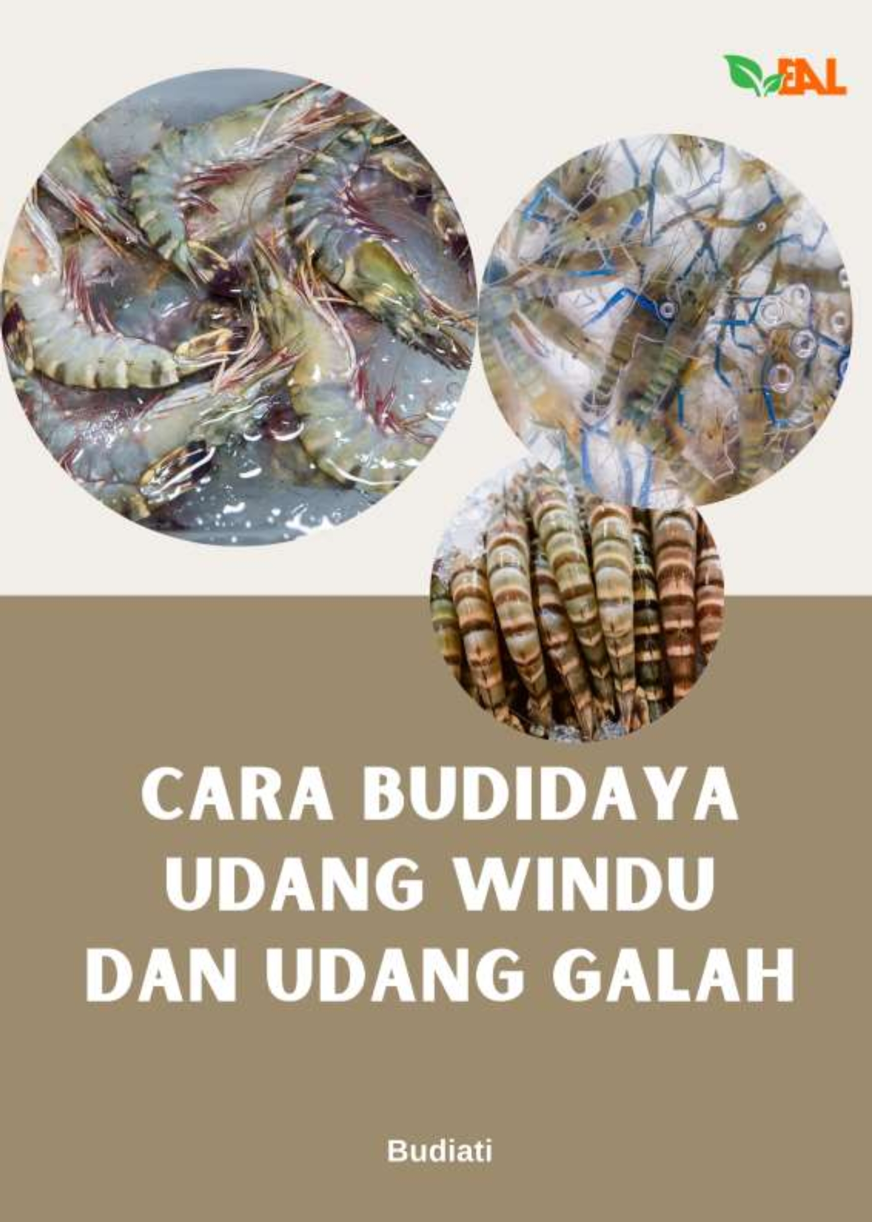 Cara Budidaya Udang Windu dan Udang Galah